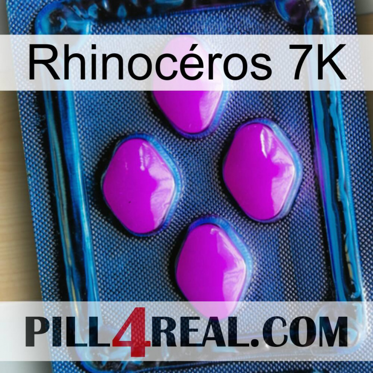 Rhinocéros 7K 04